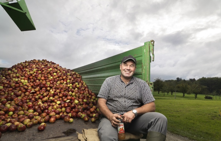 Malgré un été sec: des fruits à cidre de bonne qualité pour RAMSEIER Suisse AG