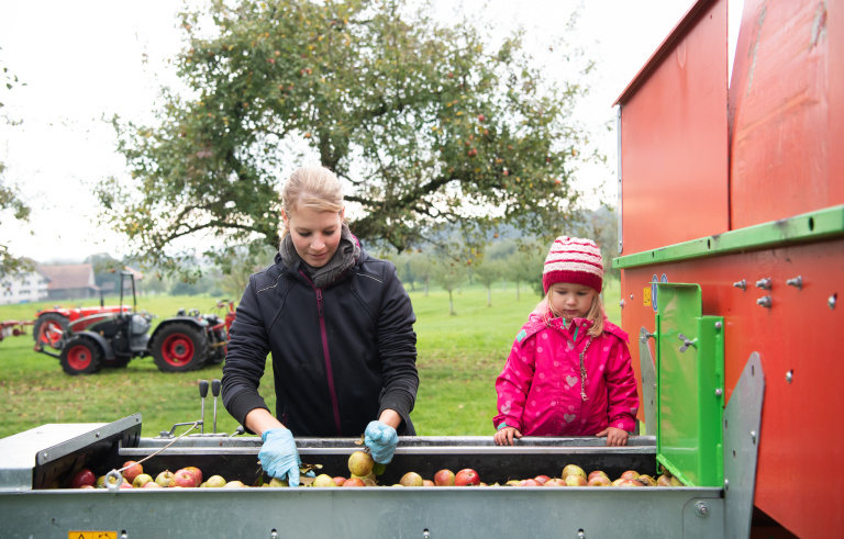 RAMSEIER Suisse AG: des fruits à cidre d’une qualité exceptionnelle en 2022